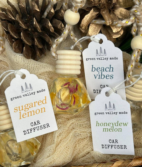Summer Scented Car Diffusers | Air Fresheners