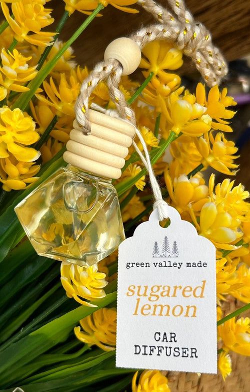 Summer Scented Car Diffusers | Air Fresheners